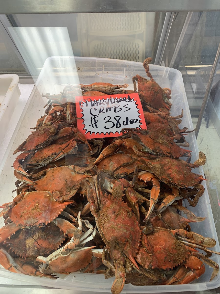 16Th Street Seafood-7