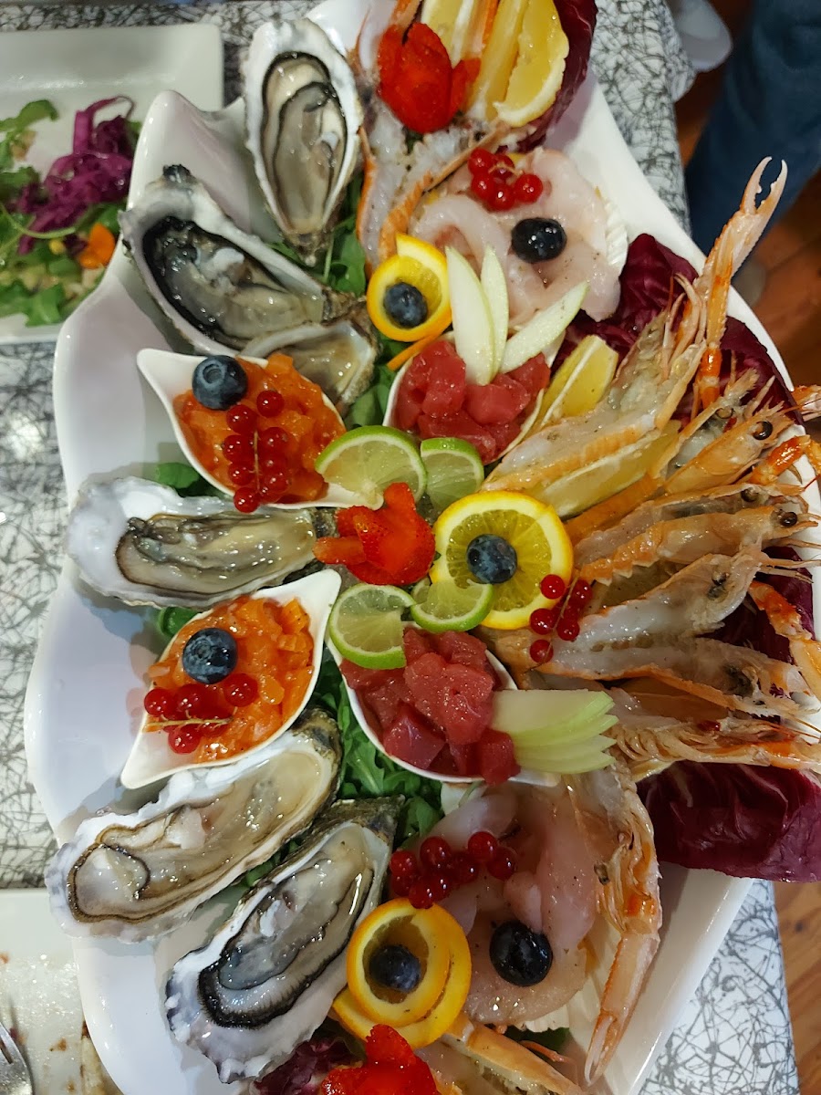 3Punto0 Aranova-6