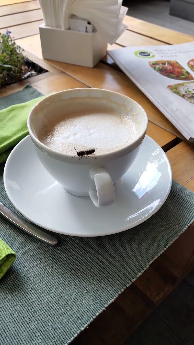 A Cup Of Coffee-2