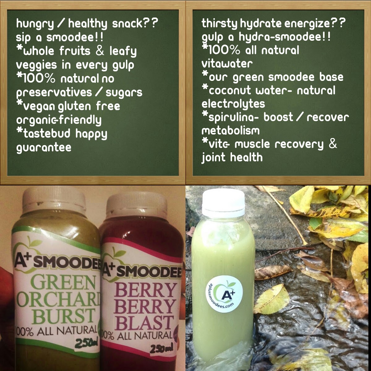 Menu A+ Smoodees-5