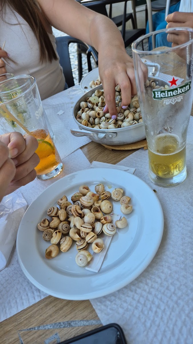 A Trigueirinha-9
