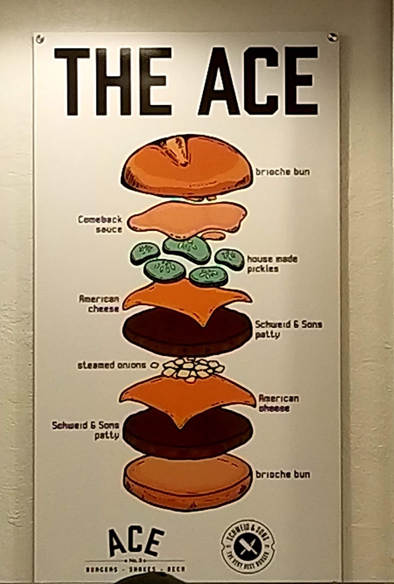 Menu Ace No. 3-9