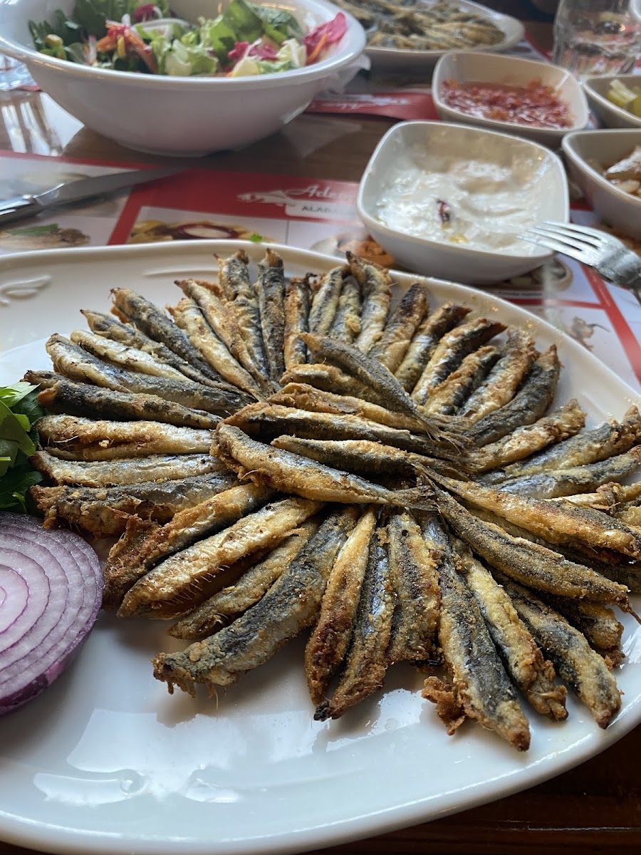 Adem Doruk Balık Alabalık Lokantası Eryaman Şube-7