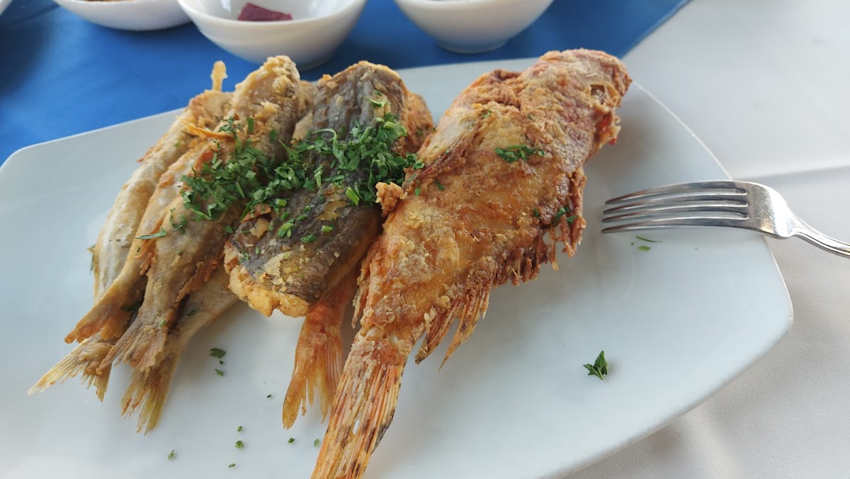Afxentis Fish Restaurant-8