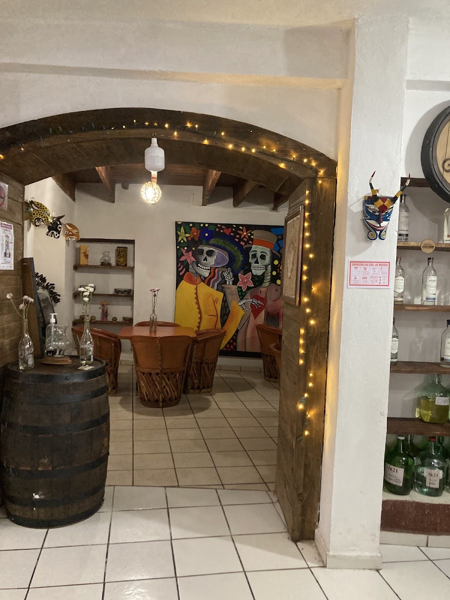 Agave 1621