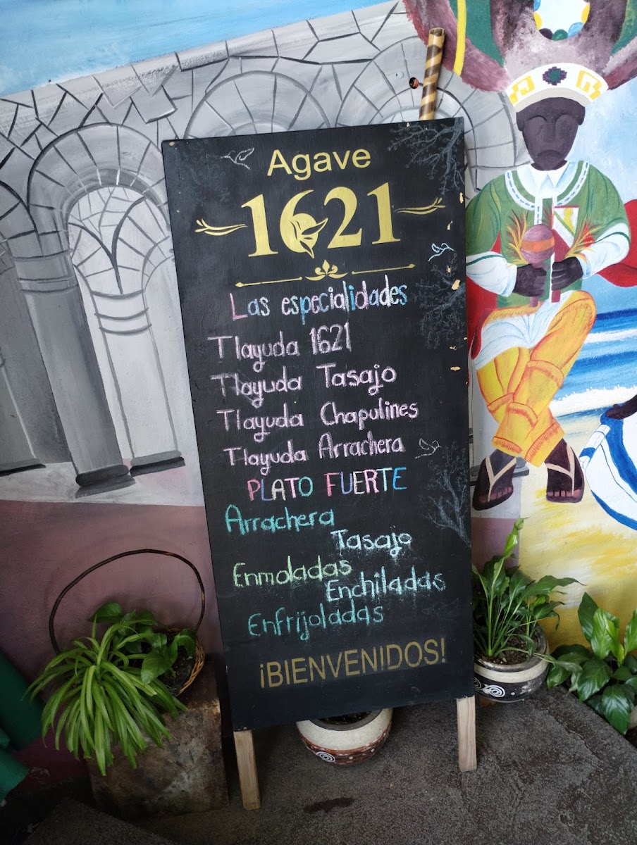 Menu Agave 1621-4