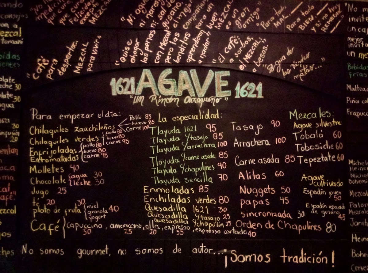 Menu Agave 1621-6