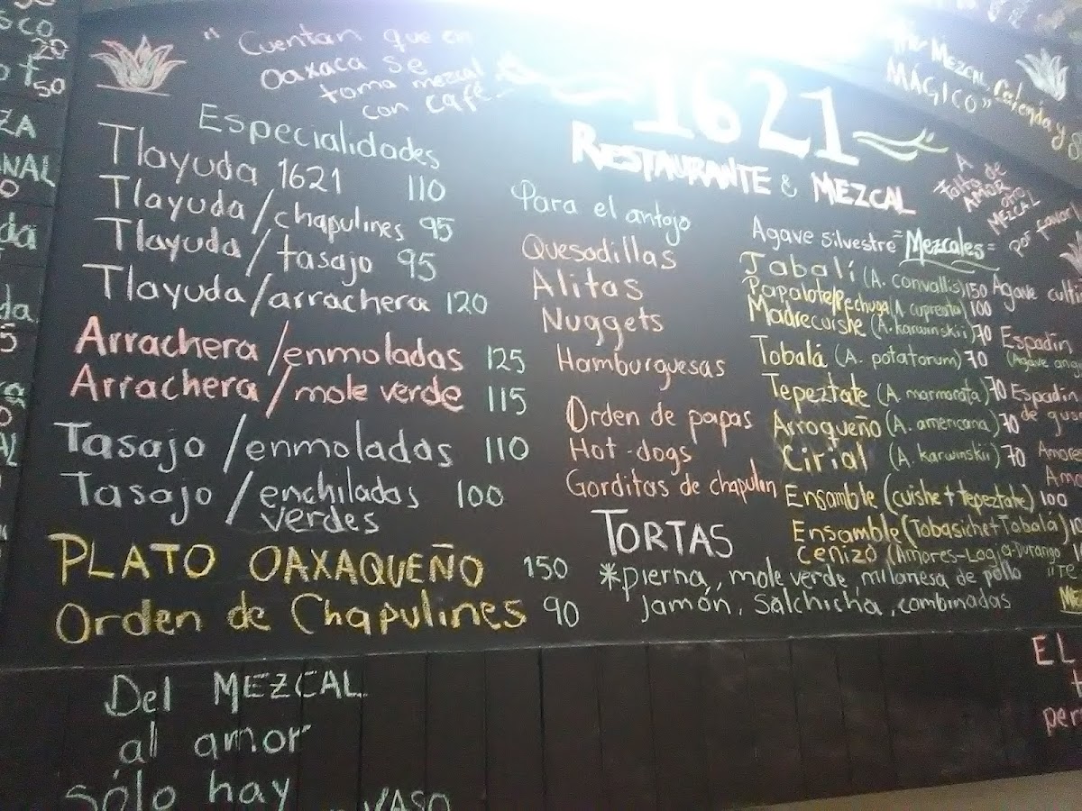 Menu Agave 1621-7