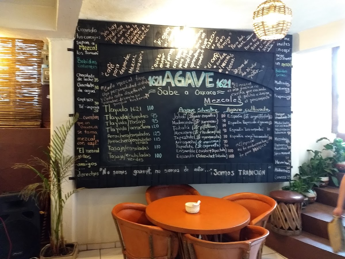 Menu Agave 1621-9