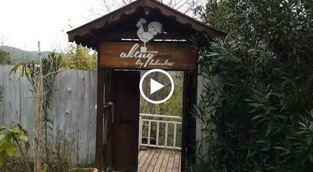 Aktuğ Köy Kahvaltısı-En Iyi Kahvaltı Restoran-2