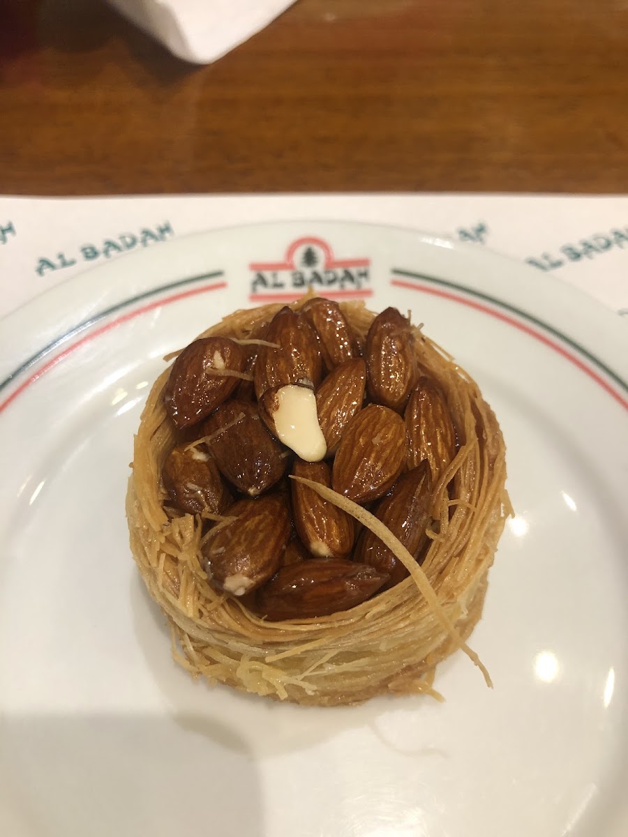 Al Badah-10