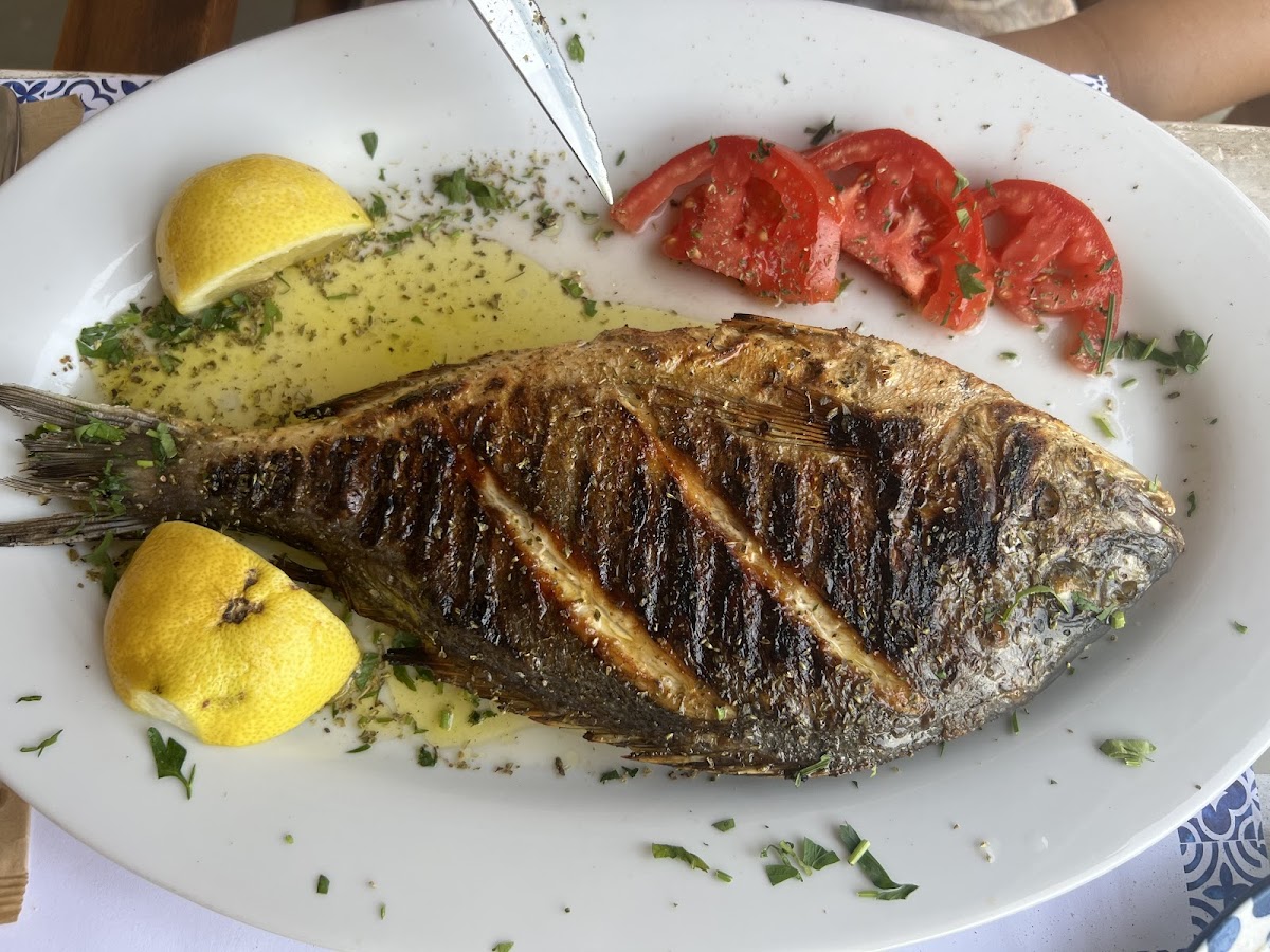 Alexandros Taverna - Serifos-6