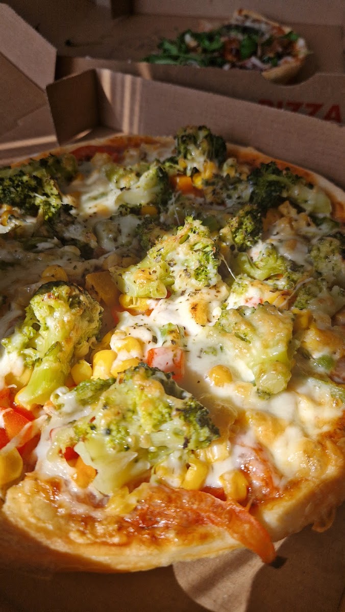 Alfredo Pizzaservice Wolfen