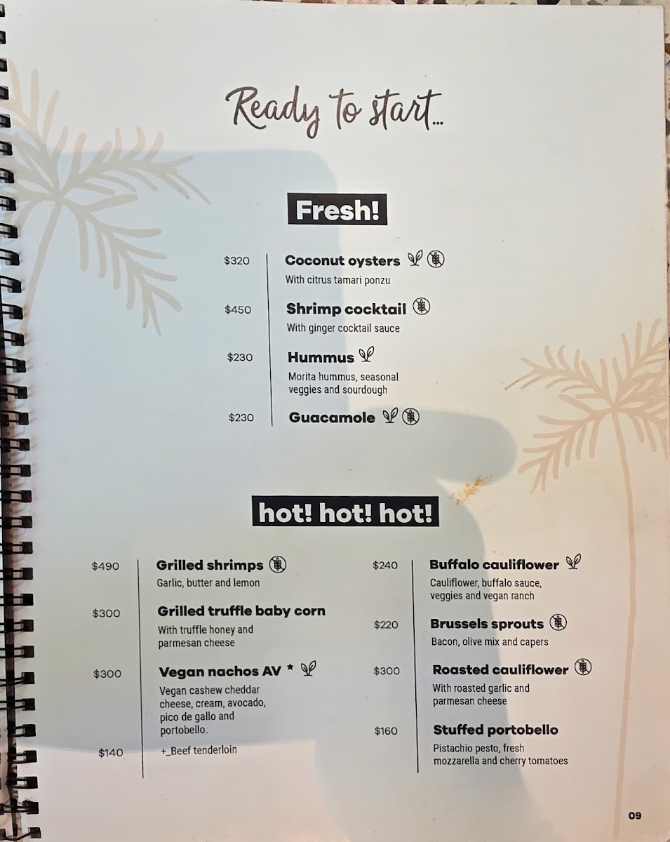 Menu Alma Verde Tulum-8
