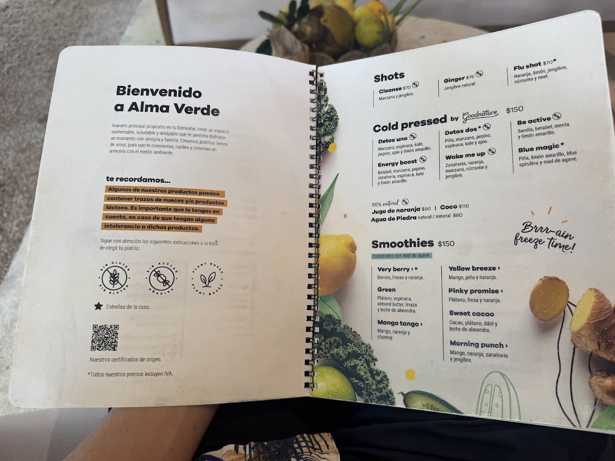 Menu Alma Verde Tulum-9