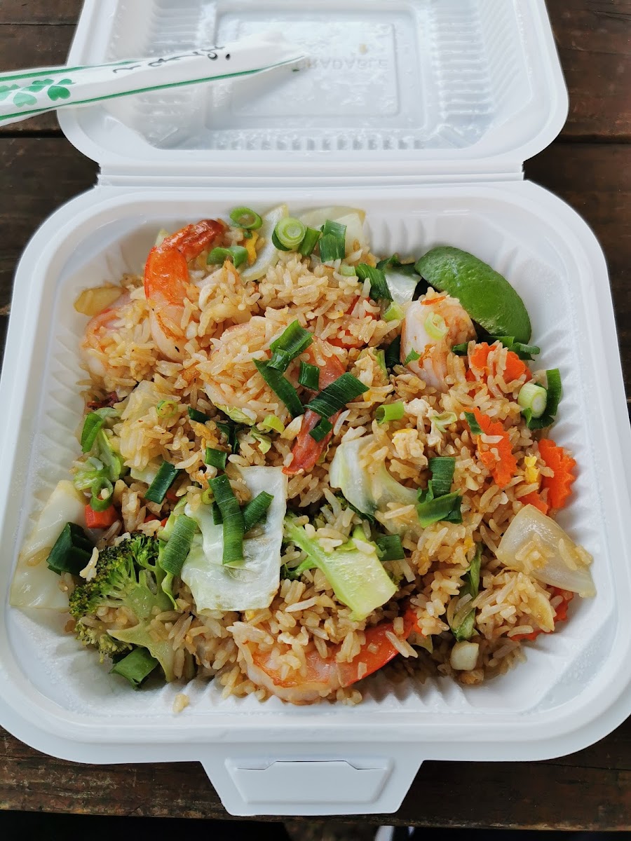 Aloha Thai Fusion Foodtruck-8