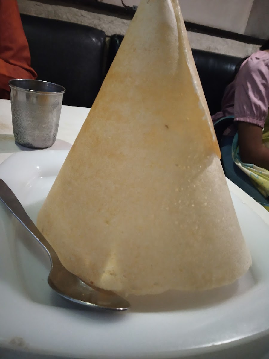 Alok Hotel-9