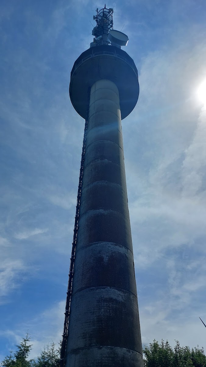 Alpenroder Hütte-3
