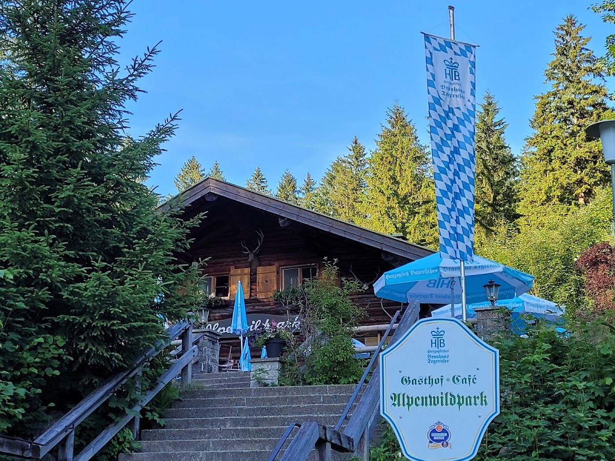 Alpenwildpark-4