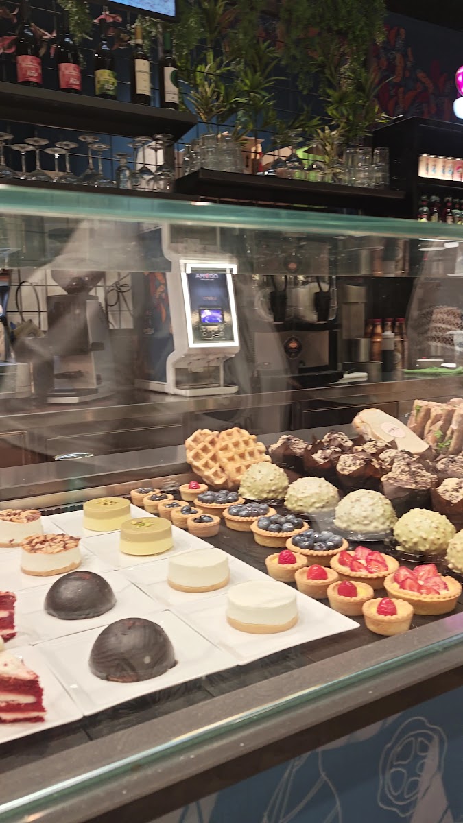 Amodo Modena Grandemilia - Bakery, Gelato, Caffè-2