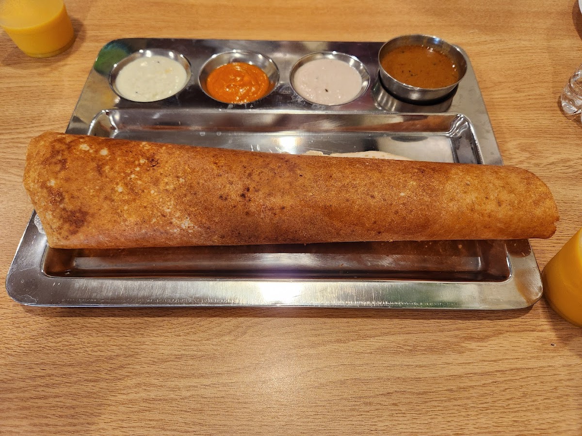 Amruth Indian Grill-7