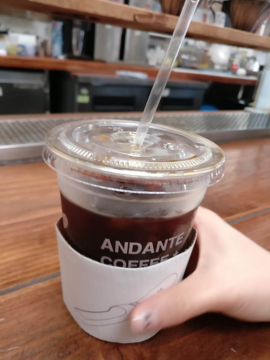 Andante-5
