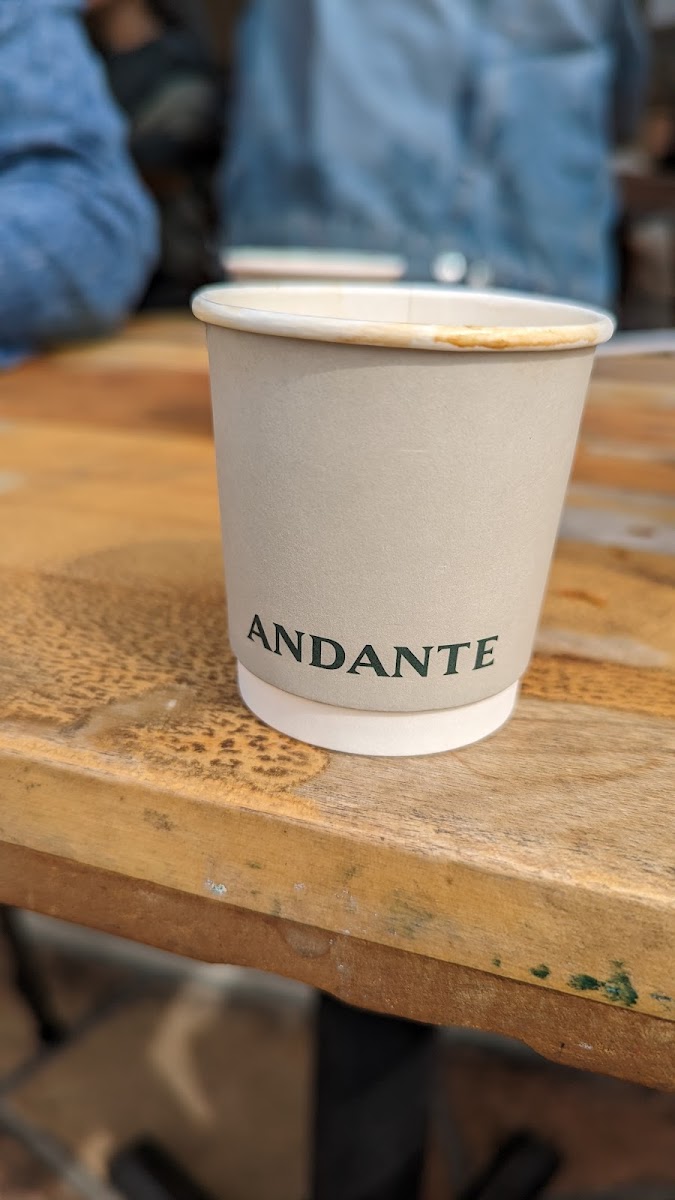 Andante-8