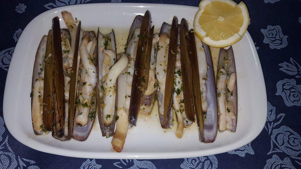 Anexo Coira-9