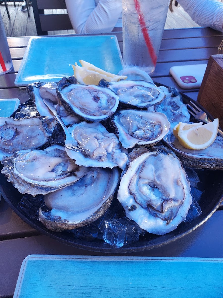 Anna Maria Oyster Bar Landside-5