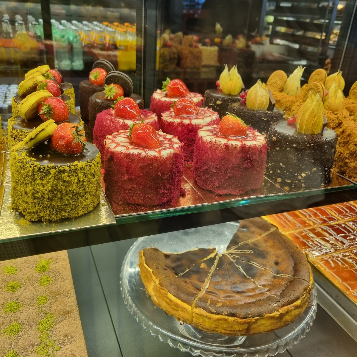 Anteplioglu Darmstadt-6