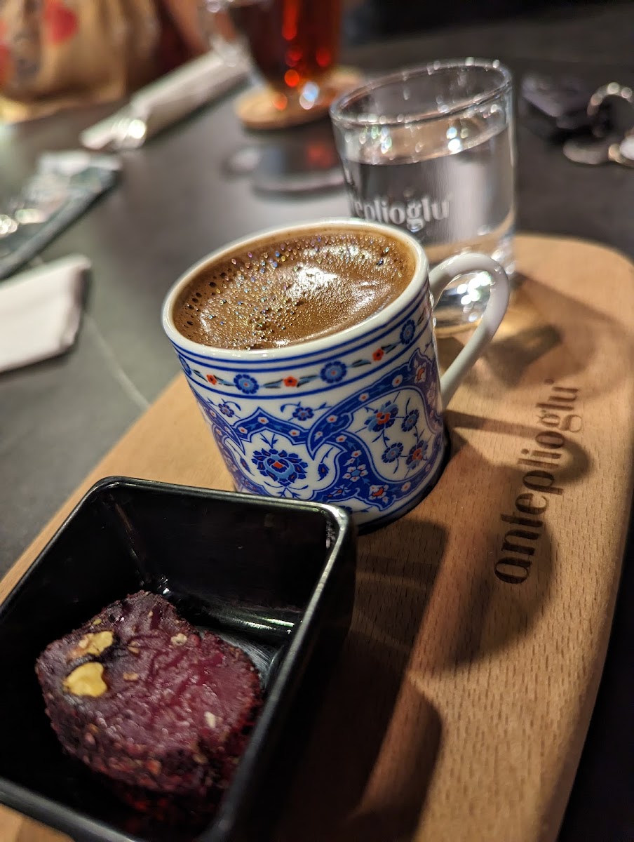 Anteplioglu Darmstadt-7