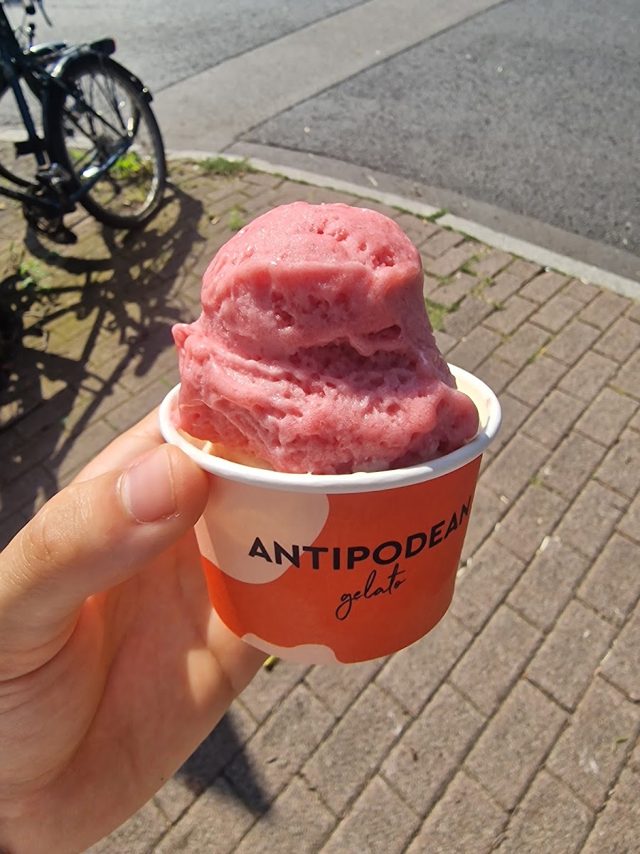 Antipodean Gelato-10