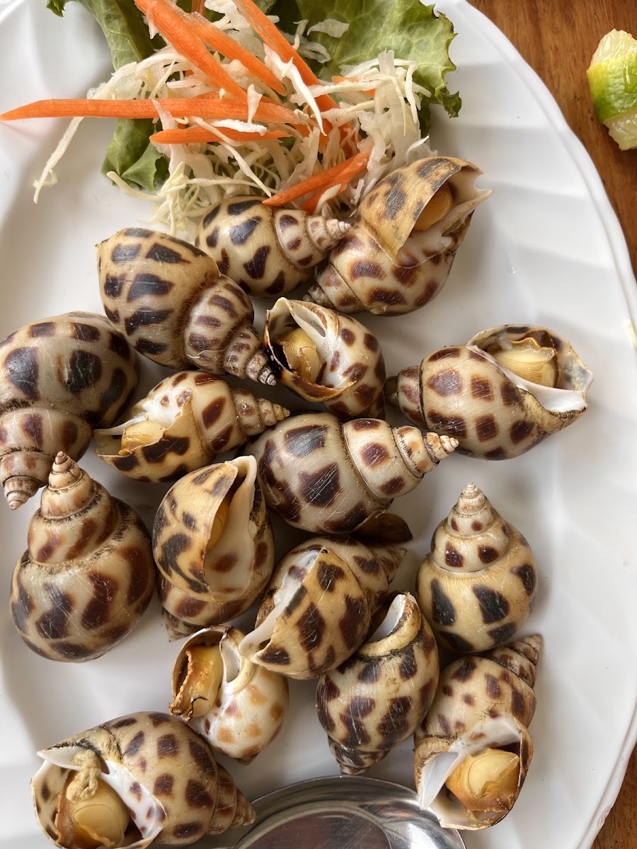 ร้านอ่าวทะเลซีฟู้ด Aow Talay Seafood-5