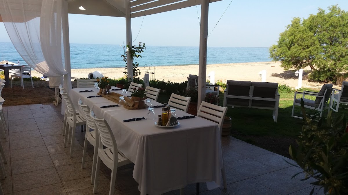Aphrodite Taverna-Studios