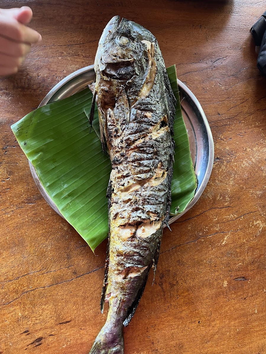 Apik Warung-8