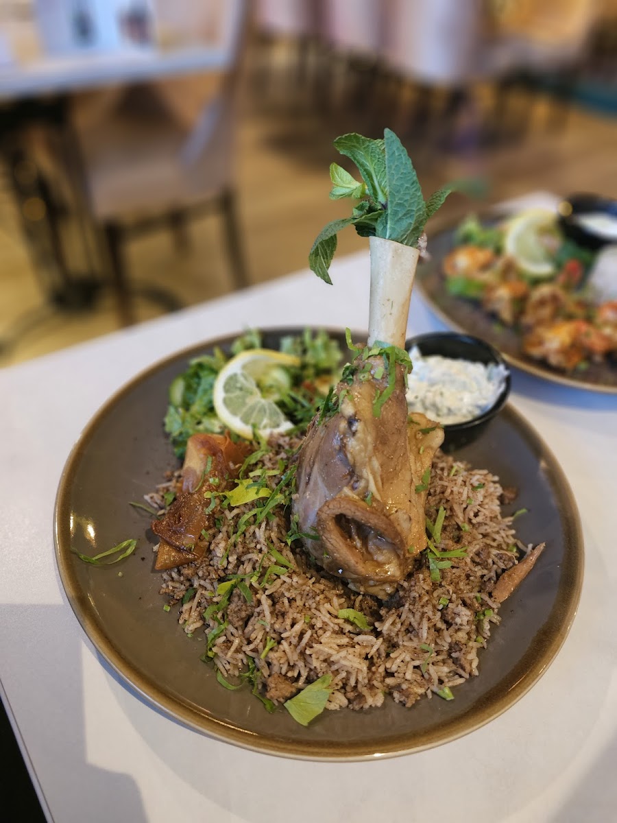 Aqua Food & Mood Lebanese Restaurant-6