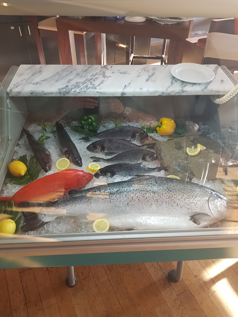 Aquamarin Restaurant-7