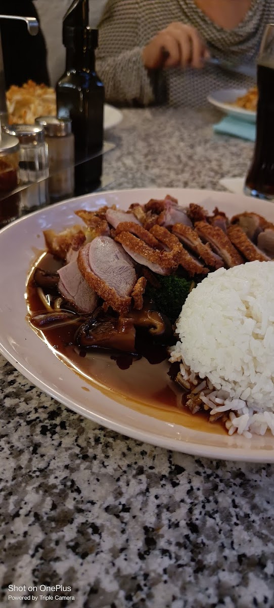 Asia Restaurant Hong-7