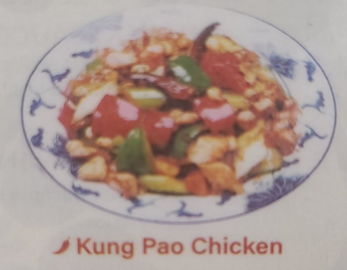 Asian Grill-5