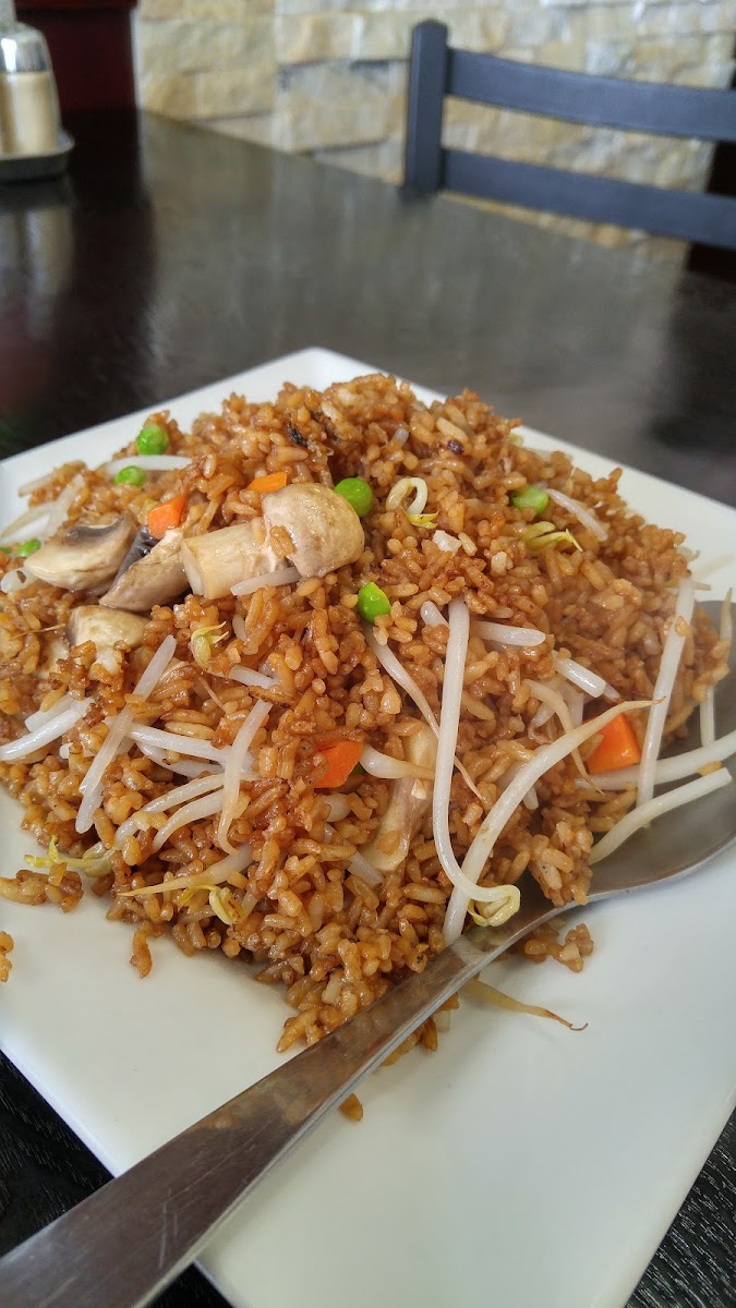 Asian Wok-8