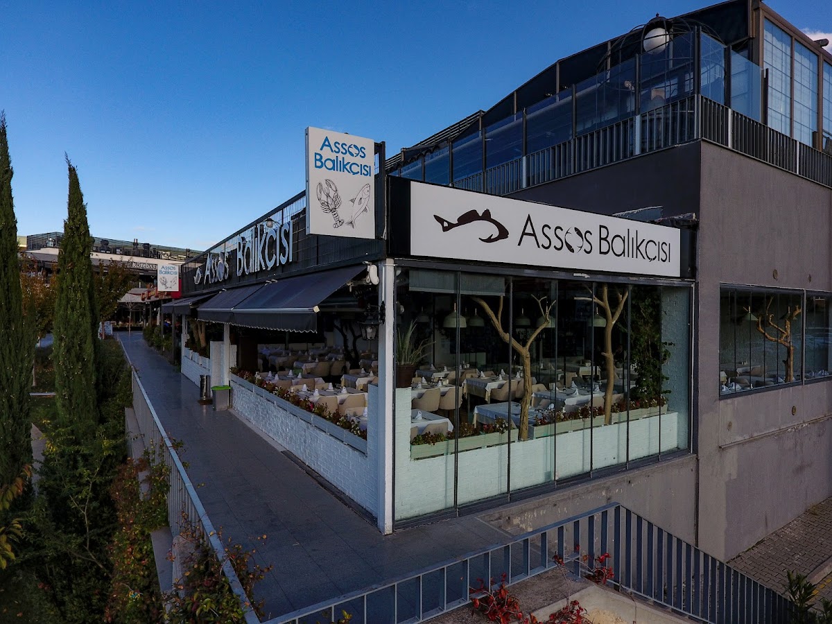 Assos Balıkçısı
