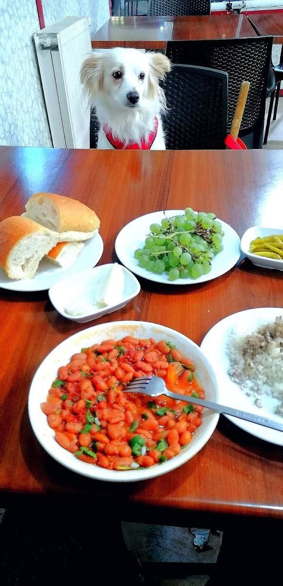Avşaroğlu Pide Kebap Ve Döner Salonu-9