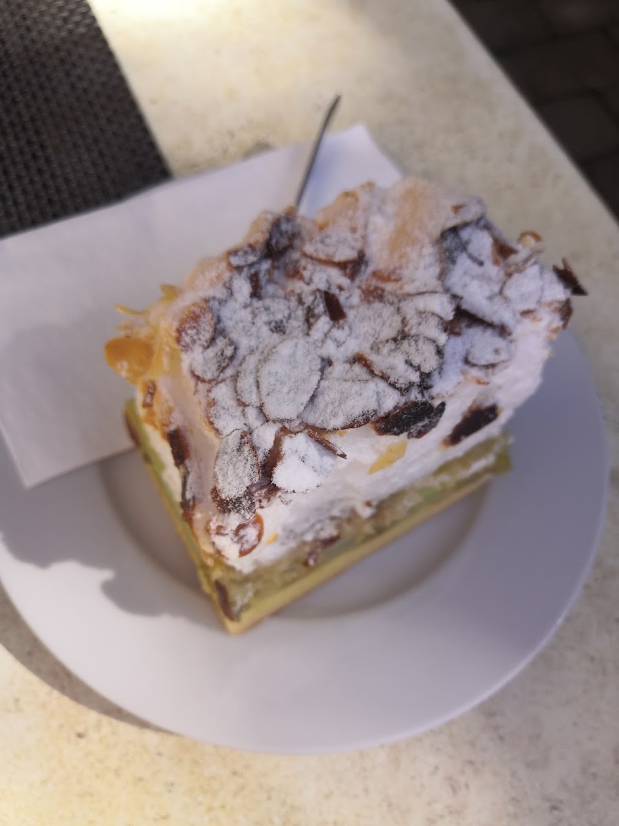 Avecio-Halle (Saale)-9