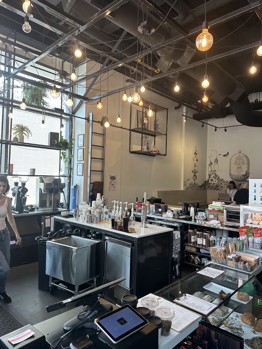 Aviano Coffee On 2Nd-4