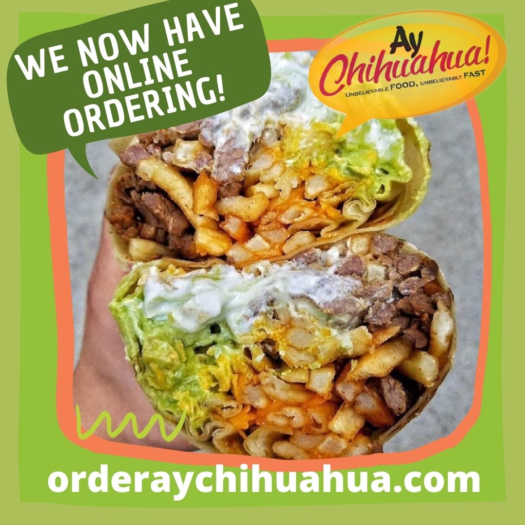 Ay Chihuahua!-4