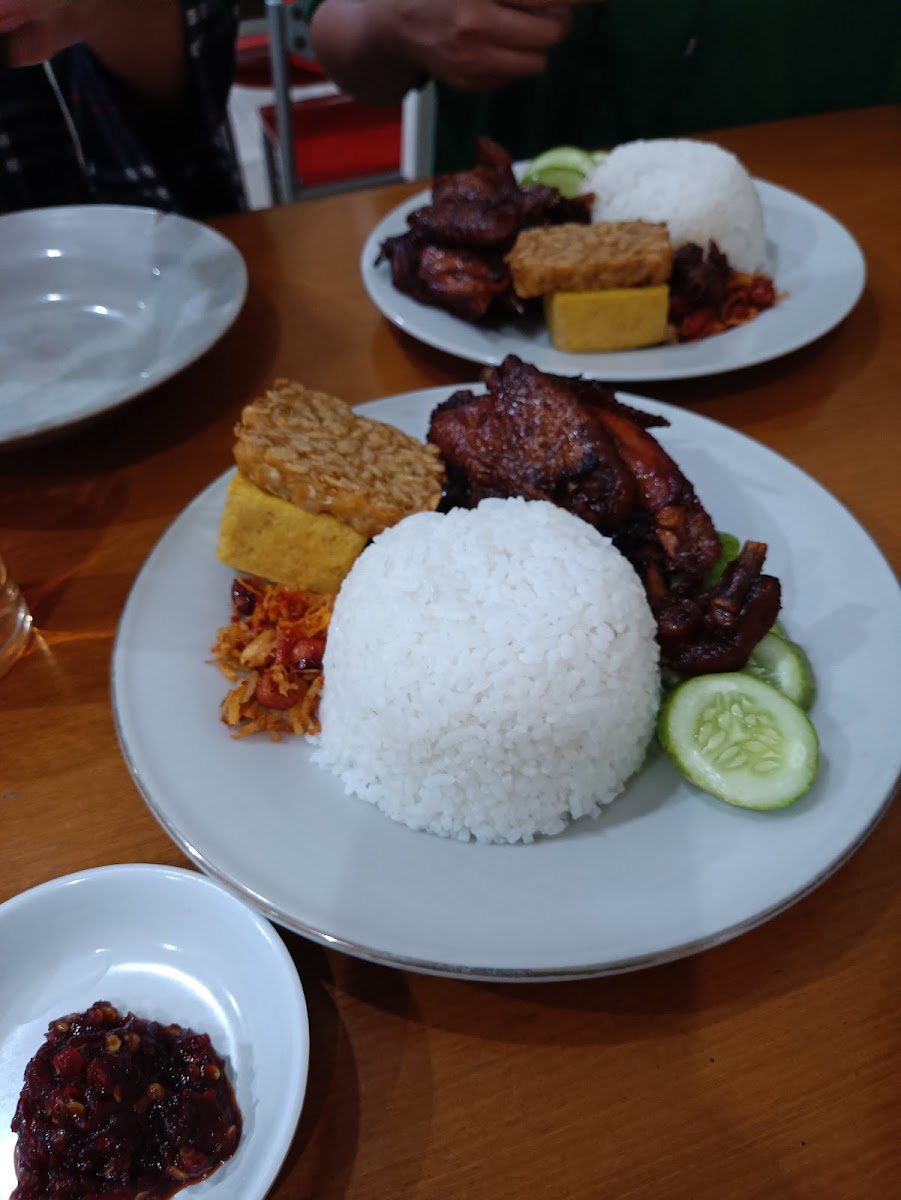 Ayam Djogja Ii Istimewa-5