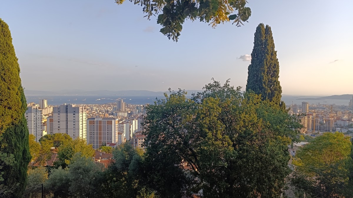 Ayazma Çay Bahçesi-4