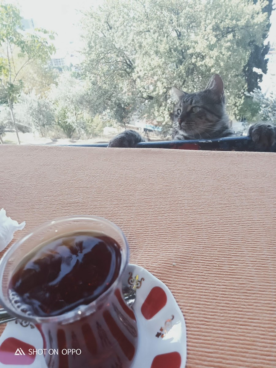 Ayazma Çay Bahçesi-5