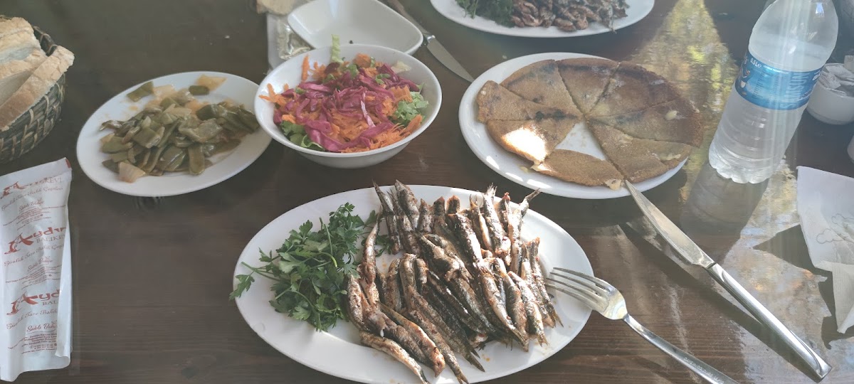 Aydın Balık Evi-6
