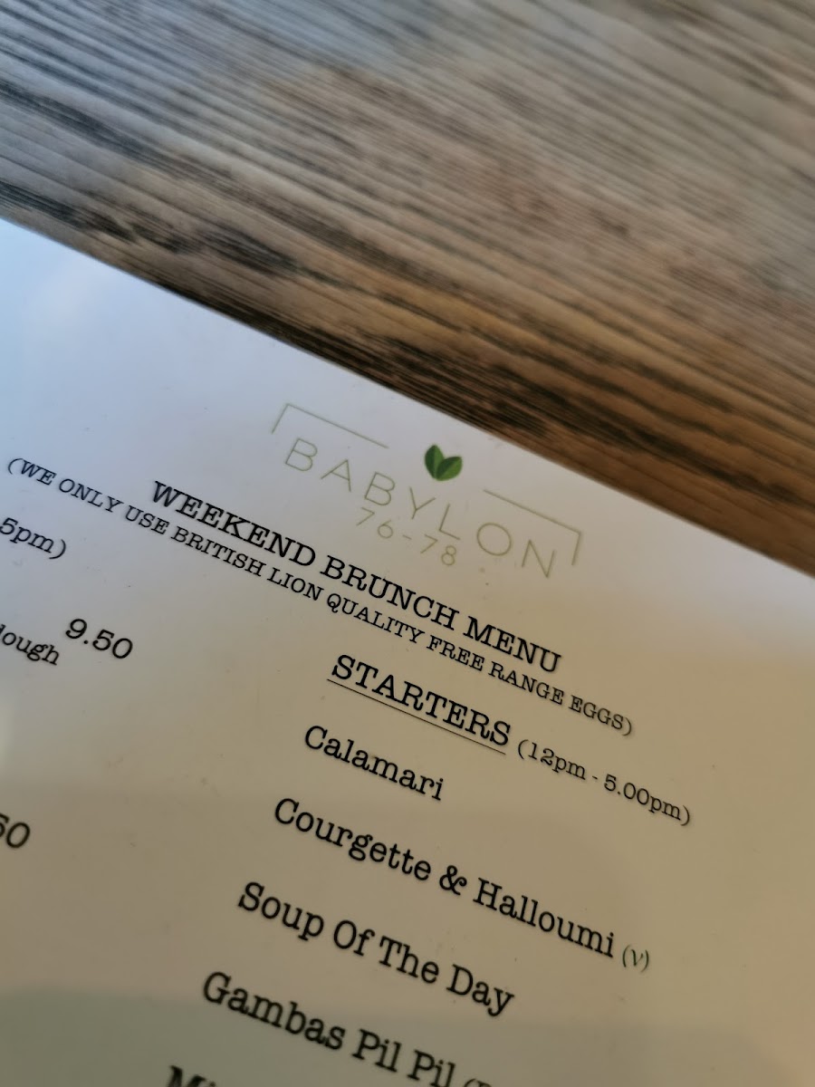 Menu Babylon-3